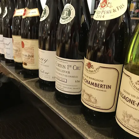 酒店 林荫大道酒店 2*